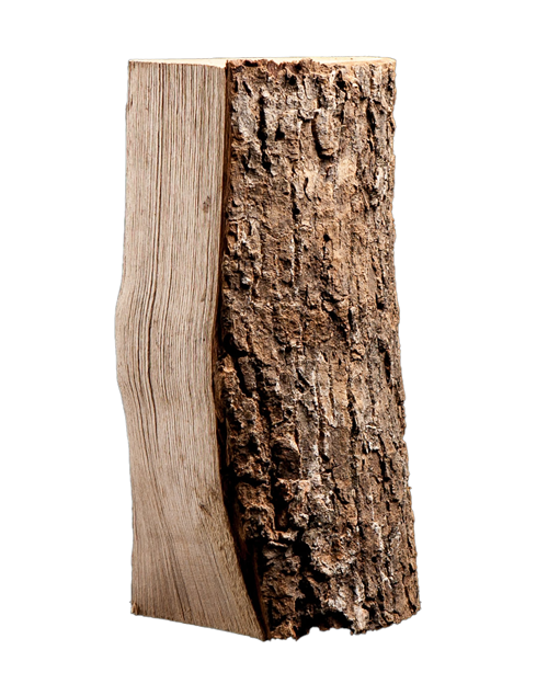palette-kammergetrocknetes-gespalten-esche-brennholz-25cm-6-1d1fa7