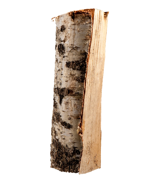 palette-kammergetrocknetes-gespalten-birken-brennholz-25cm-6-5f457a